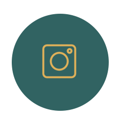 icone-instagram